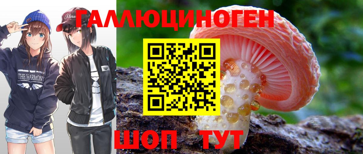 Галлюциногенные грибы Psilocybine cubensis  Вход с VPN  Бузулук 