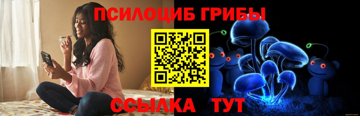 Галлюциногенные грибы Psilocybine cubensis Бузулук